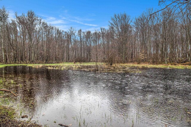 8110 Ames Rd, Bear Lake, MI 49614