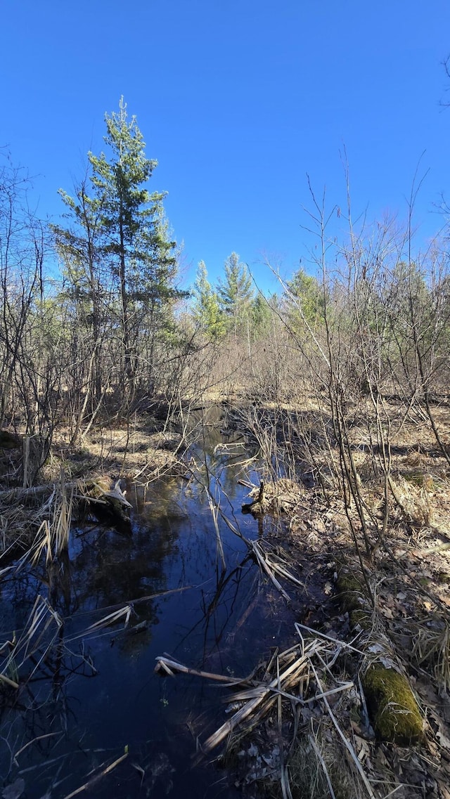 view of local wilderness