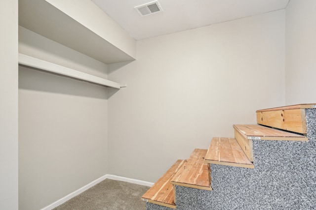 spacious closet with carpet