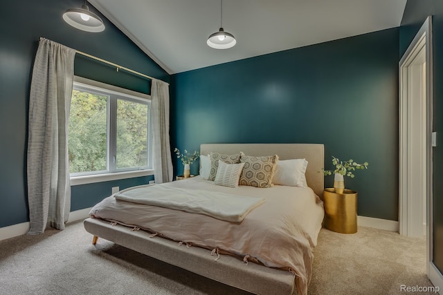 10630 Garr Rd, Berrien Springs, MI 49103 - bedroom featuring carpet floors and vaulted ceiling