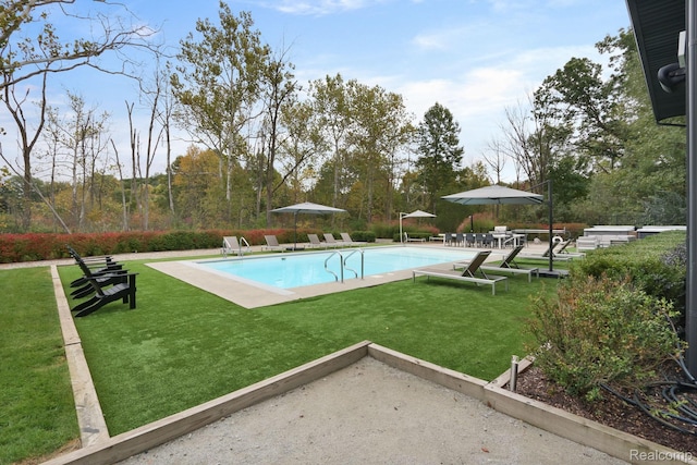 10630 Garr Rd, Berrien Springs, MI 49103 - view of swimming pool featuring a patio and a yard