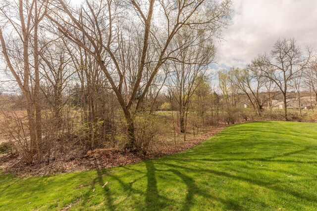 1005 E Duncan St Unit 2D, Manchester, MI 48158 - view of yard