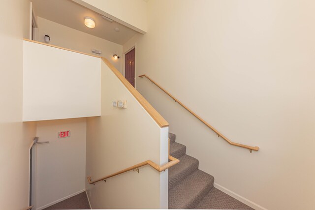 1005 E Duncan St Unit 2D, Manchester, MI 48158 - stairs with carpet flooring and baseboards