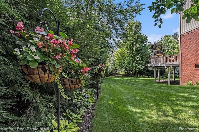view of yard featuring a wooden deck