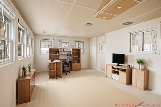 4302 Lake Dr, Beaverton, MI 48612 - office with light carpet, baseboards, and visible vents
