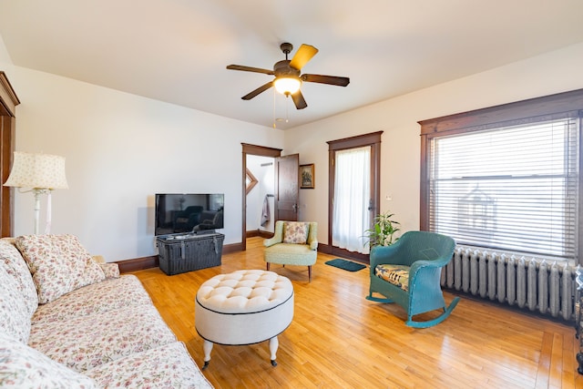 living area with baseboards, radiator, ceiling fan, and light wood finished floors