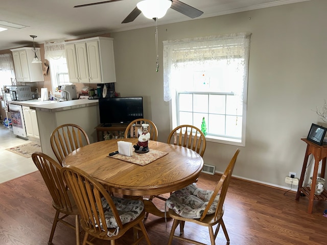 326 Basket Br, Oxford, MI 48371 - dining room featuring light wood-type flooring, a ceiling fan, visible vents, and crown molding