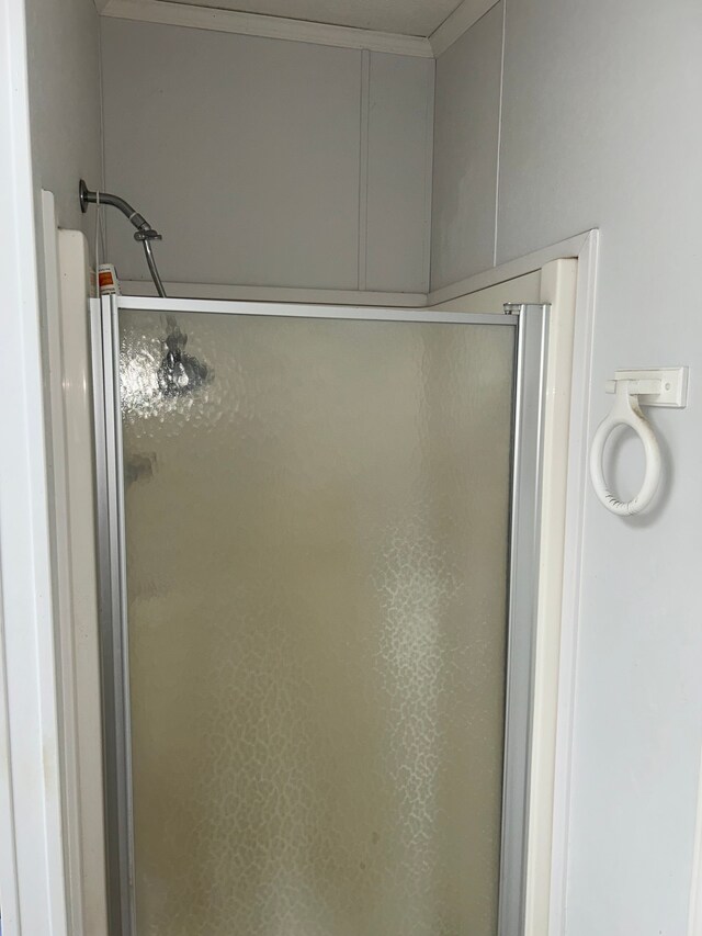 326 Basket Br, Oxford, MI 48371 - full bath with a shower stall and ornamental molding