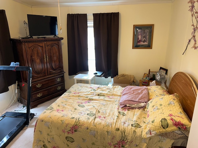 326 Basket Br, Oxford, MI 48371 - bedroom with ornamental molding and light carpet