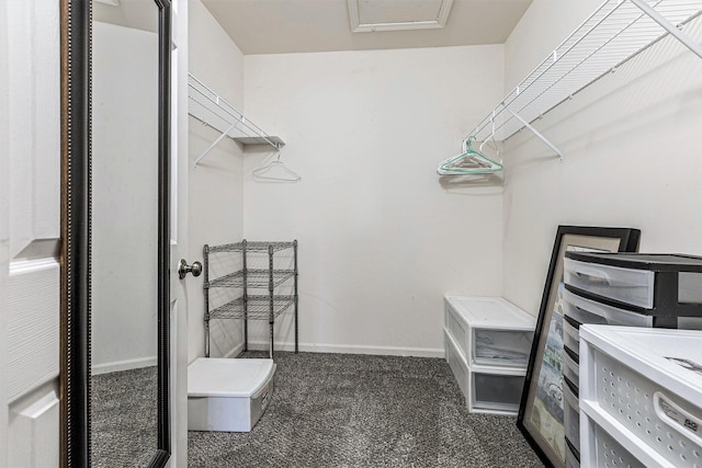 spacious closet featuring dark colored carpet