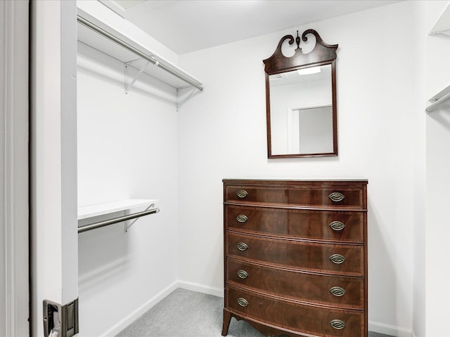 walk in closet featuring carpet flooring