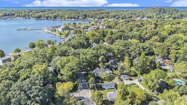 638 Allegan St, Saugatuck, MI 49453 - view of property location with a nearby body of water and a heavily wooded area