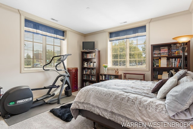 141 Central Ave Unit 110, Holland, MI 49423 - bedroom with multiple windows, visible vents, ornamental molding, and carpet floors