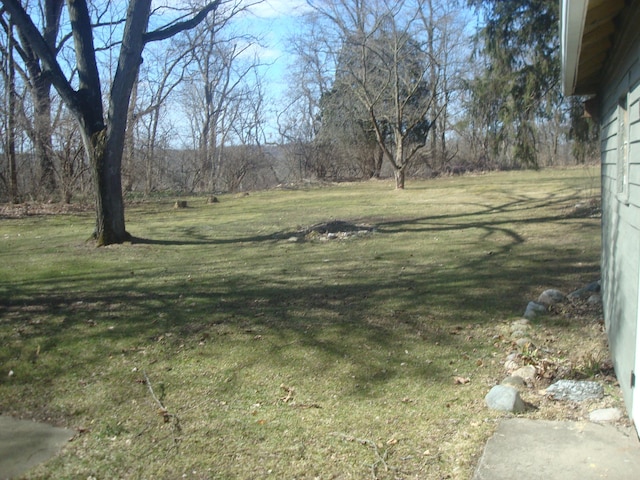 view of yard