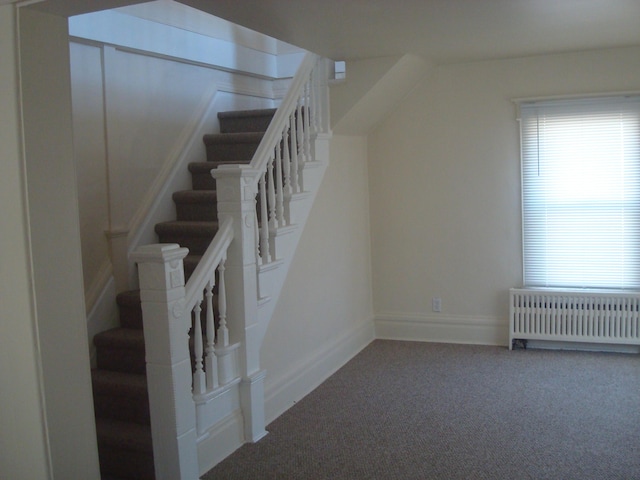 stairway with radiator heating unit, plenty of natural light, baseboards, and carpet floors