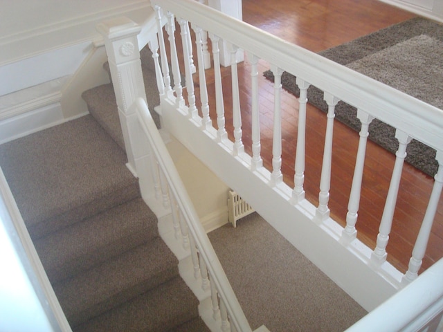 stairs with carpet floors