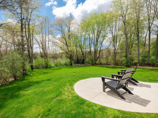 view of yard featuring a patio
