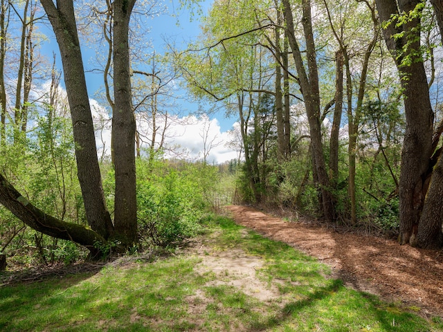 view of local wilderness featuring a view of trees