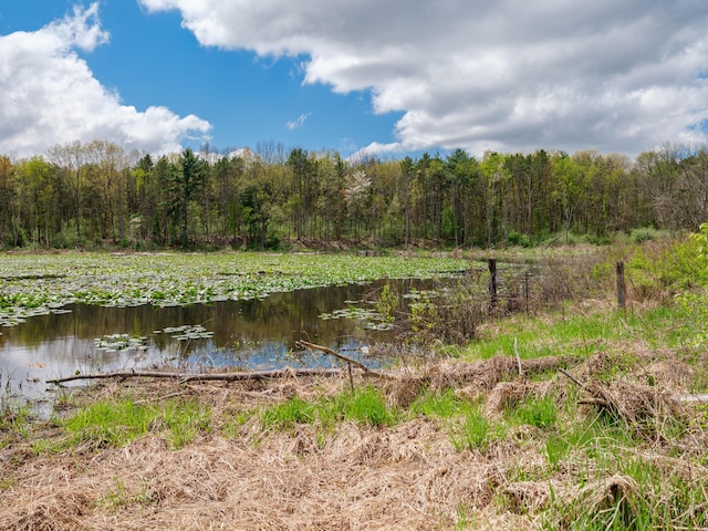 property view of water featuring a forest view
