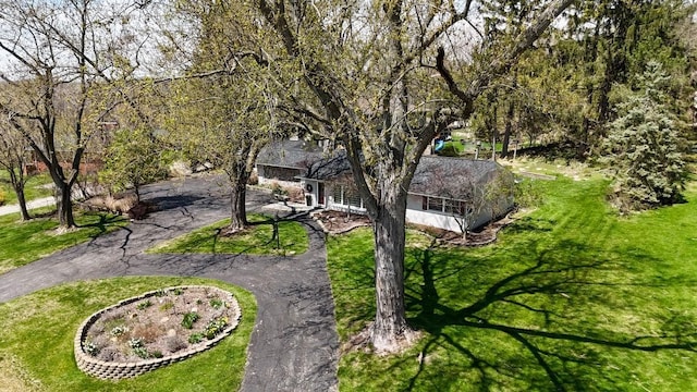 view of home's community featuring a lawn and aphalt driveway