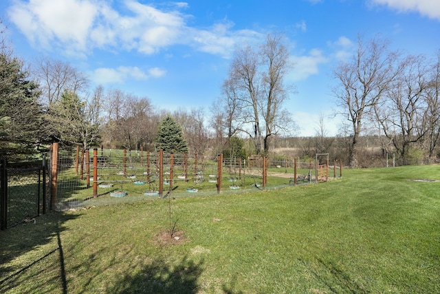 70799 Fisher Rd, Bruce, MI 48065 - view of yard featuring fence and a garden