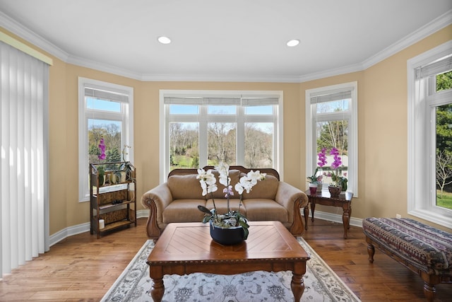 70799 Fisher Rd, Bruce, MI 48065 - living area with crown molding, recessed lighting, baseboards, and light wood-style floors