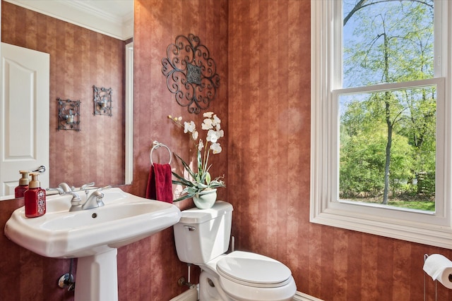 8504 Riverwalk Dr, Fenton, MI 48430 - half bath with toilet, healthy amount of natural light, and crown molding