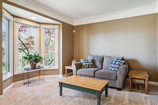 8504 Riverwalk Dr, Fenton, MI 48430 - carpeted living room featuring baseboards and ornamental molding