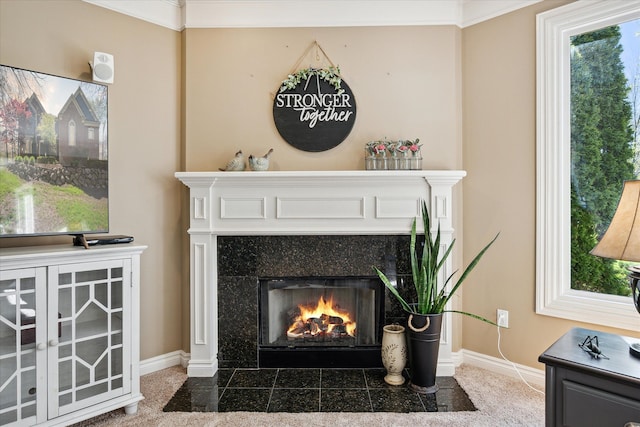 8504 Riverwalk Dr, Fenton, MI 48430 - detailed view of baseboards and a tiled fireplace