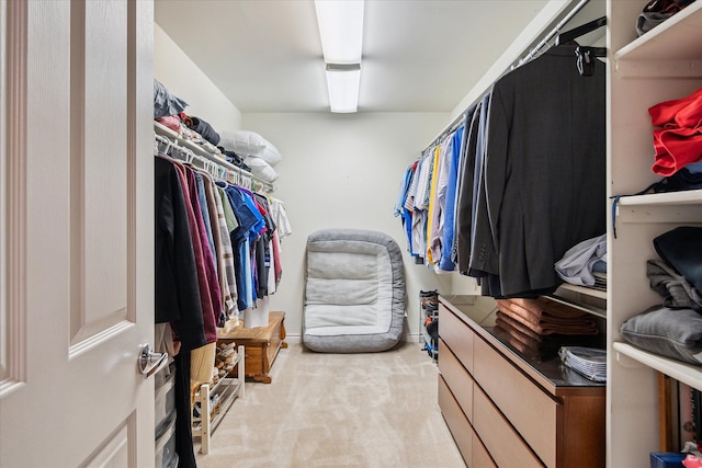 8504 Riverwalk Dr, Fenton, MI 48430 - walk in closet with light colored carpet