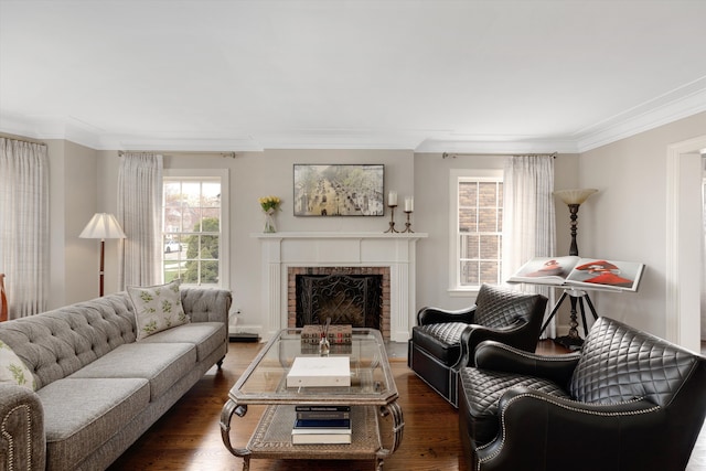 living area featuring ornamental molding, wood finished floors, and a fireplace