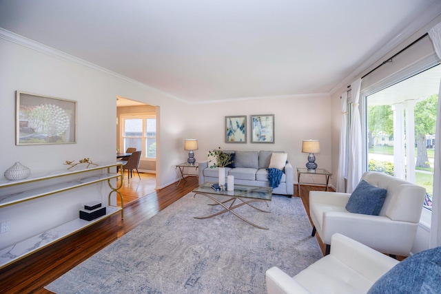 2015 Rugby Ct, Ann Arbor, MI 48103 - living area featuring ornamental molding, wood finished floors, and baseboards