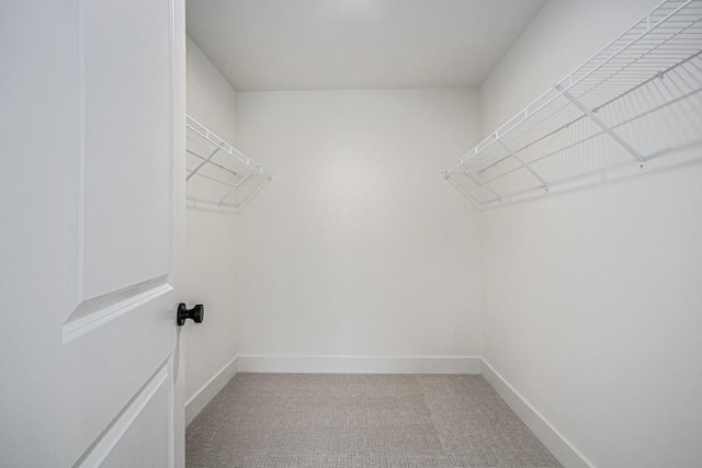 spacious closet with light colored carpet