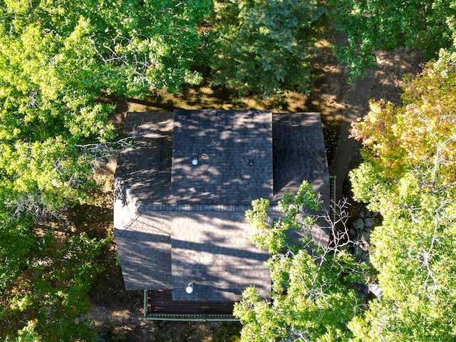 bird's eye view