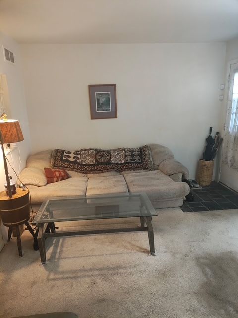 6689 Andersonville Rd Unit 29, Clarkston, MI 48346 - living area featuring carpet flooring