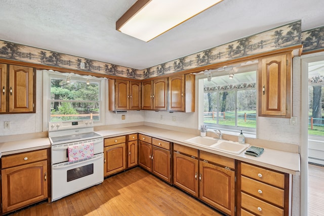 2050 Rowe Rd, Milford, MI 48380 - kitchen featuring wallpapered walls, double oven range, a healthy amount of sunlight, light wood finished floors, and a sink