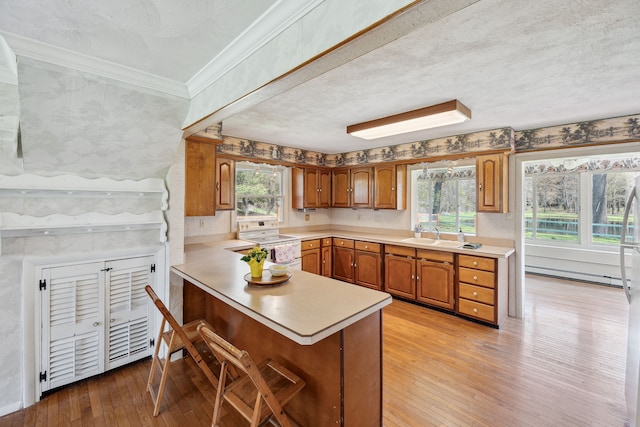 2050 Rowe Rd, Milford, MI 48380 - kitchen with a peninsula, light countertops, light wood-type flooring, and white range with electric cooktop