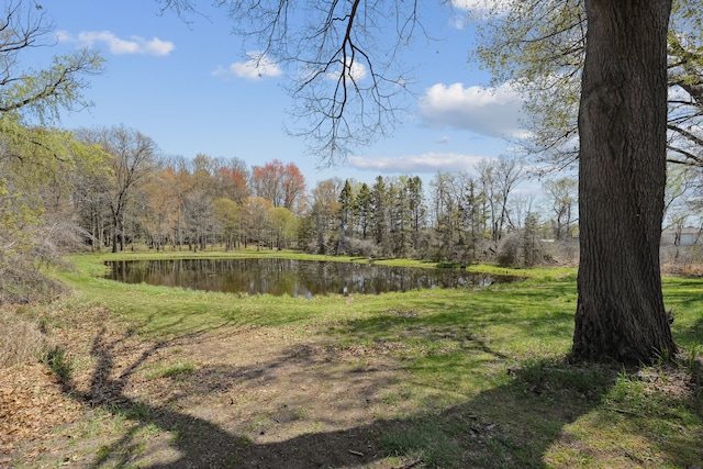 2050 Rowe Rd, Milford, MI 48380 - exterior space with a water view and a forest view