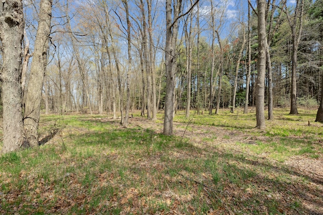 2050 Rowe Rd, Milford, MI 48380 - view of yard featuring a view of trees