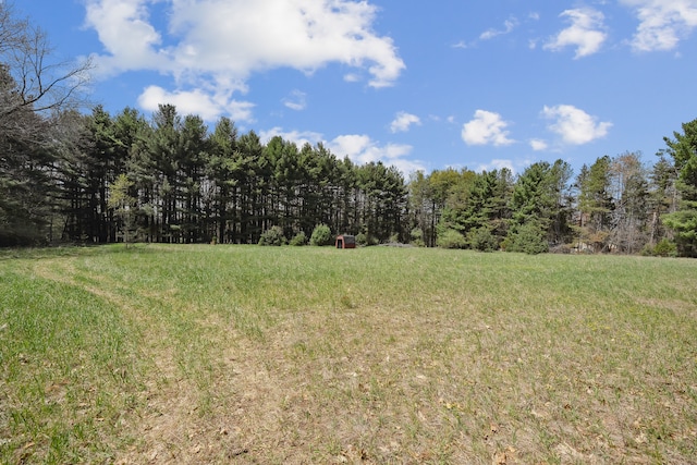 2050 Rowe Rd, Milford, MI 48380 - view of yard with a forest view