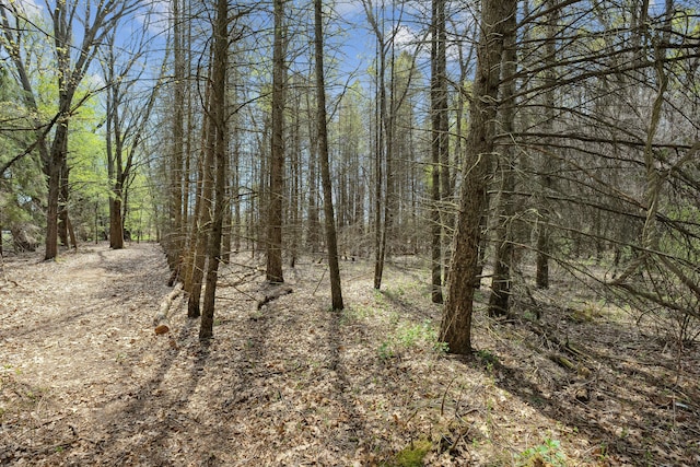 2050 Rowe Rd, Milford, MI 48380 - view of local wilderness