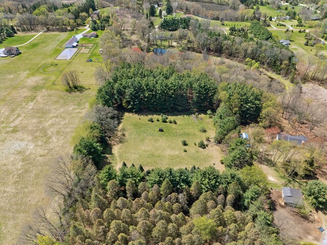 2050 Rowe Rd, Milford, MI 48380 - bird's eye view