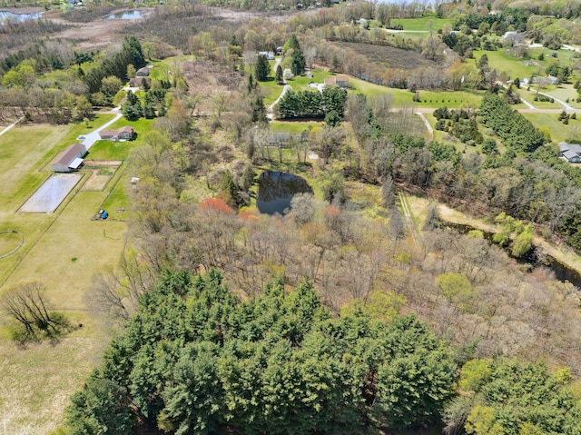 2050 Rowe Rd, Milford, MI 48380 - bird's eye view with a water view