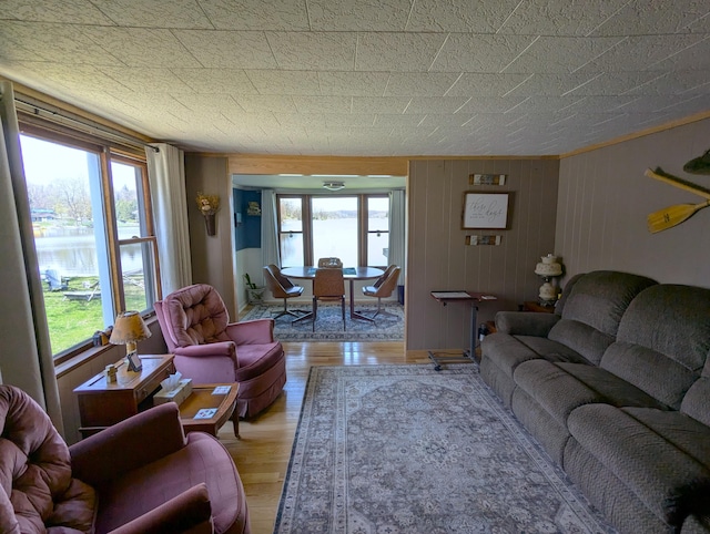living room featuring wooden walls and wood finished floors