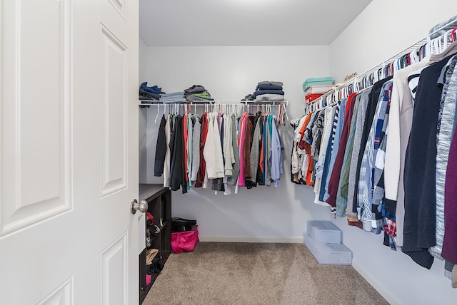 8079 Wildwood Ln, White Lake, MI 48386 - walk in closet with carpet floors