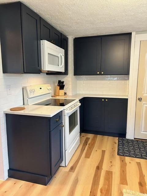 21 River St, Niles, MI 49120 - kitchen with light countertops, light wood-style flooring, a textured ceiling, and white appliances