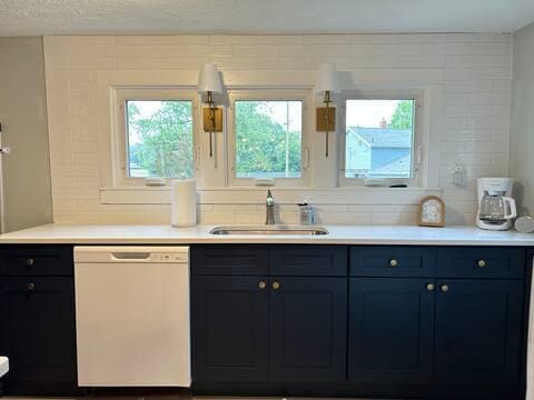 21 River St, Niles, MI 49120 - kitchen featuring dishwasher, light countertops, and a sink