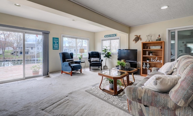 2103 Island Dr, Wayland, MI 49348 - living room with carpet floors, recessed lighting, and a textured ceiling