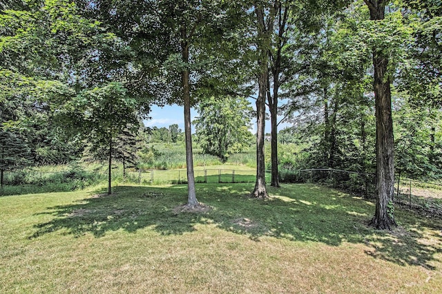 2569 Ridgewood Trl, Berrien Springs, MI 49103 - photo 27