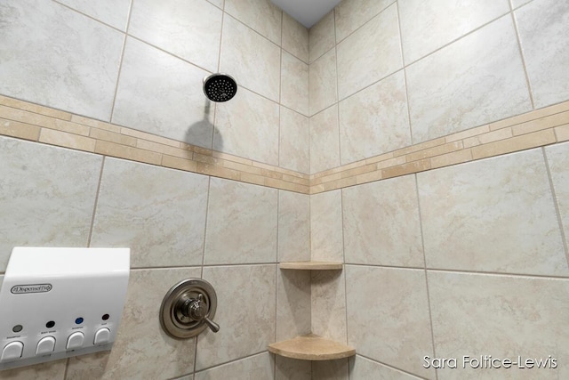 6501 Andres Xing Unit 14, Grandville, MI 49418 - details featuring tiled shower